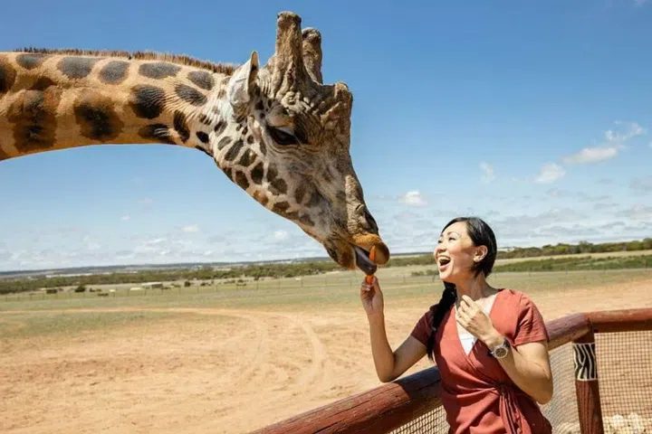 Credit: Monarto Safari Park Adelaide Australia