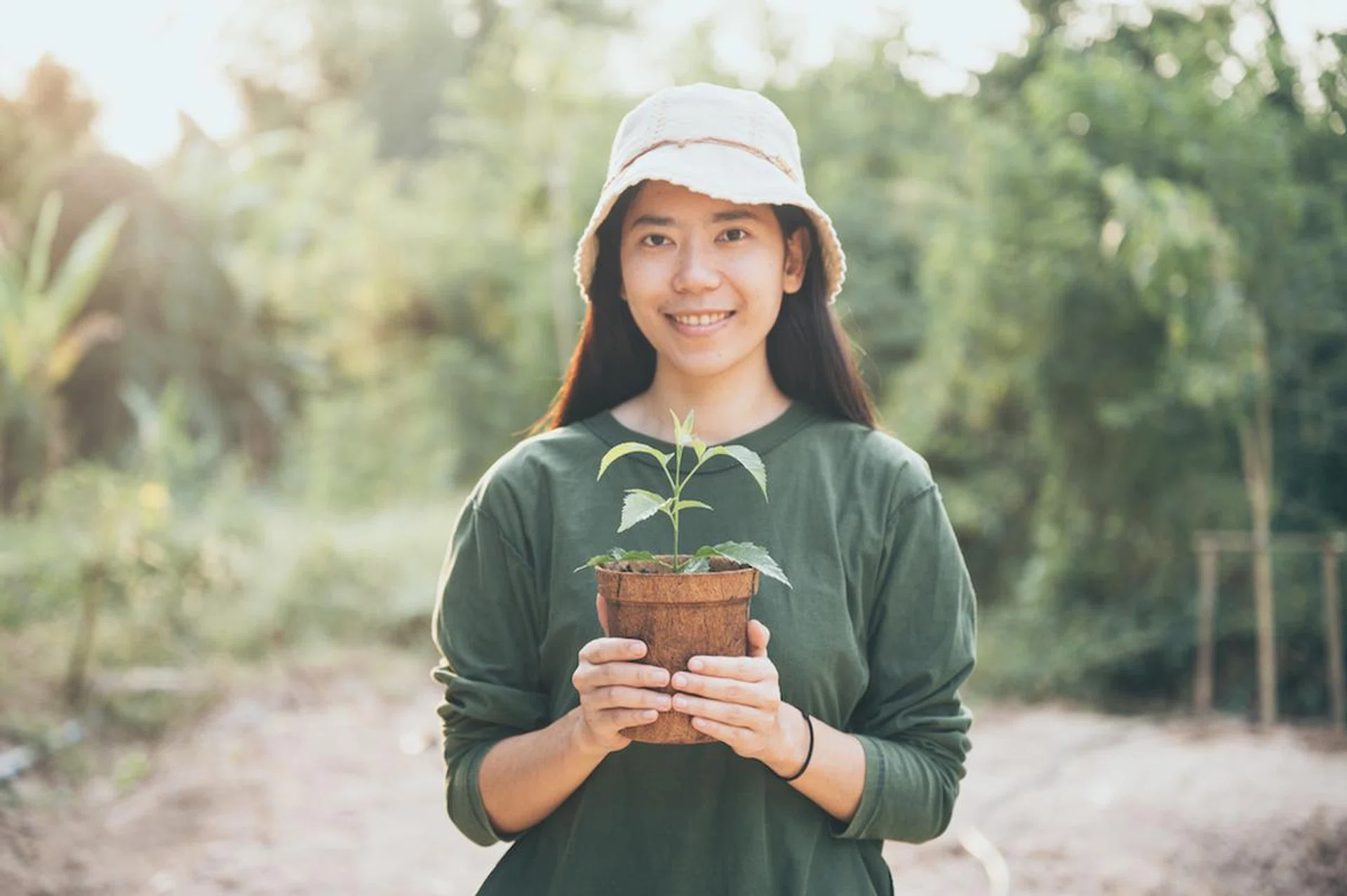 everything-you-need-to-know-about-plant-fertilisers