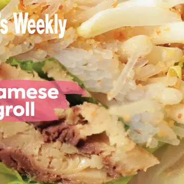 recipe for Vietnamese spring rolls