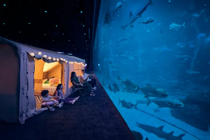 glamping singapore oceanarium