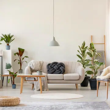 popular-indoor-plant-trends-2021