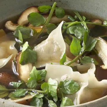 Pork & Vegetable Wonton Soup