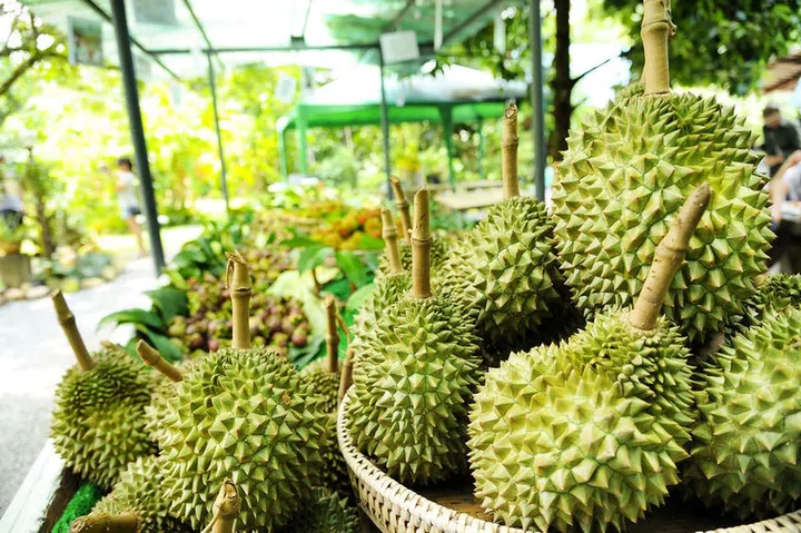 41438612 - durian fruit in thailand