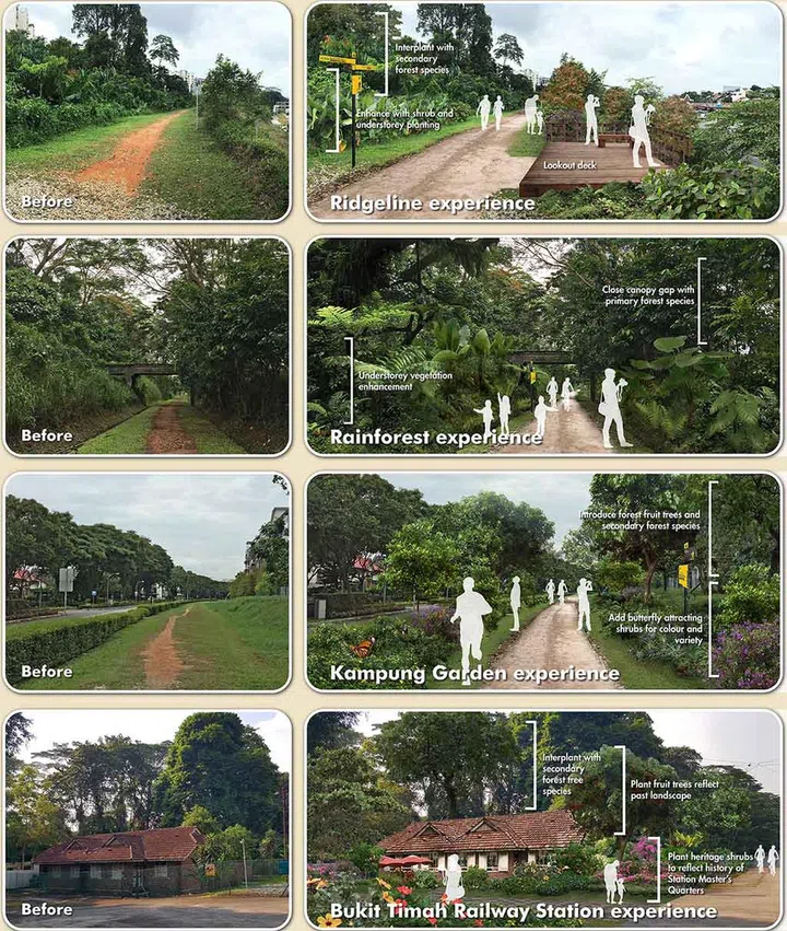 Artist impressions of the enhanced areas. Image credit: Nparks