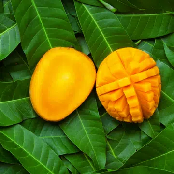 Collagen boosting foods skincare diet