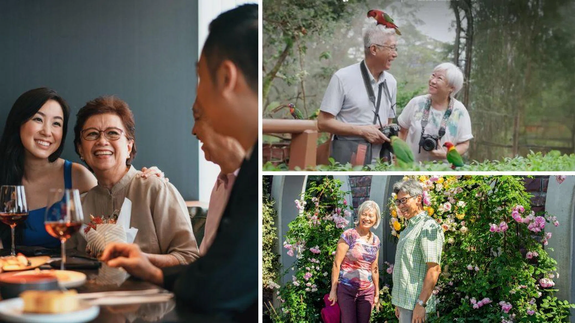 Best Senior Citizen Discounts in Singapore: Dining, Attractions & More (2025)
