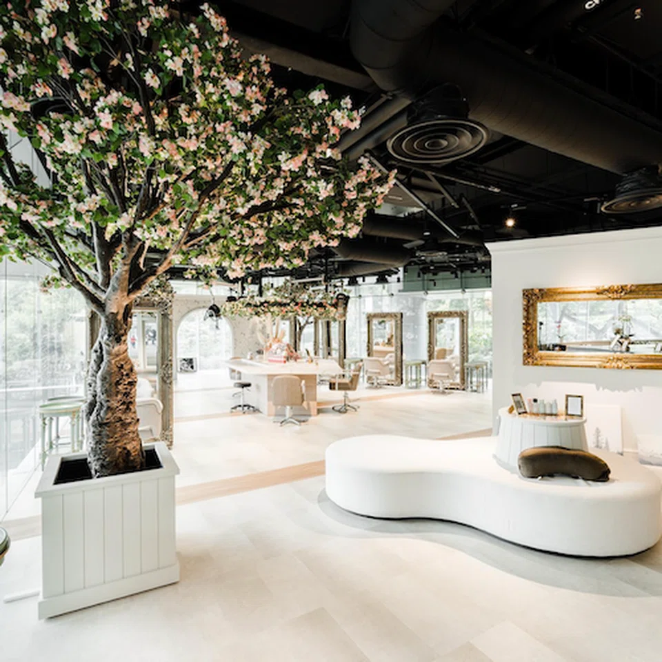 directory-Suchehwa-by-Ted-Spa-Awards-2024