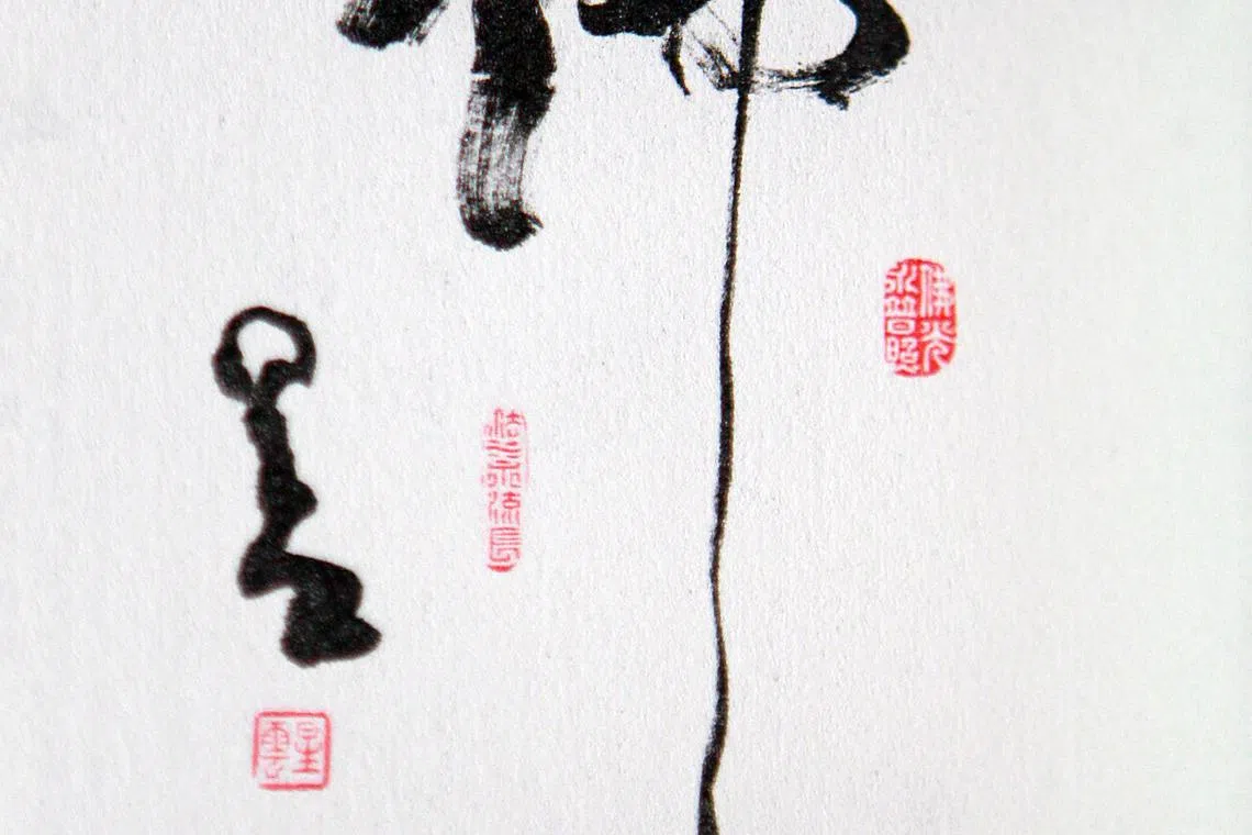 星云发师书本