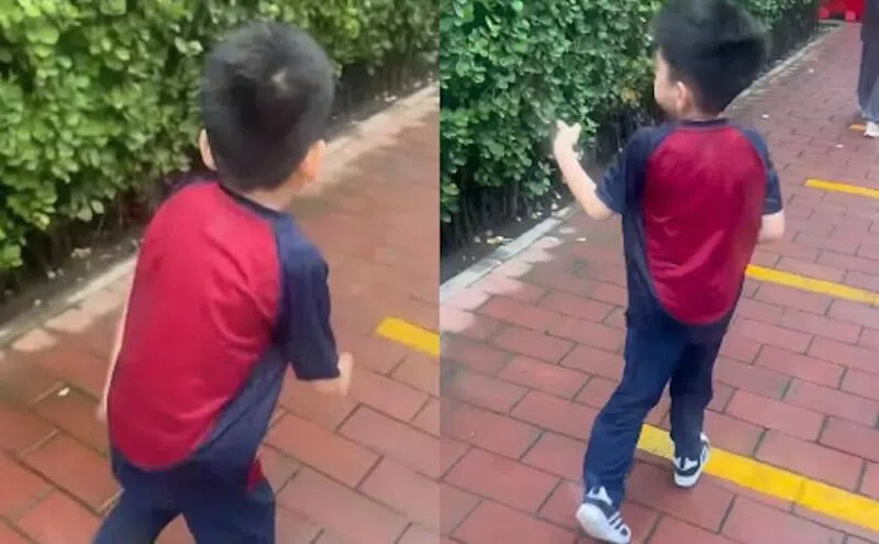 小星星开心上学。（互联网）