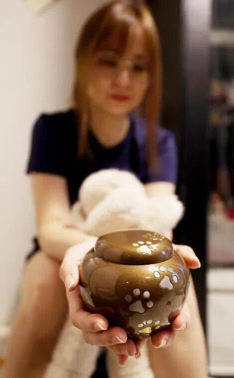 牧野美智子痛失宠物兔。 （庄耿闻摄）