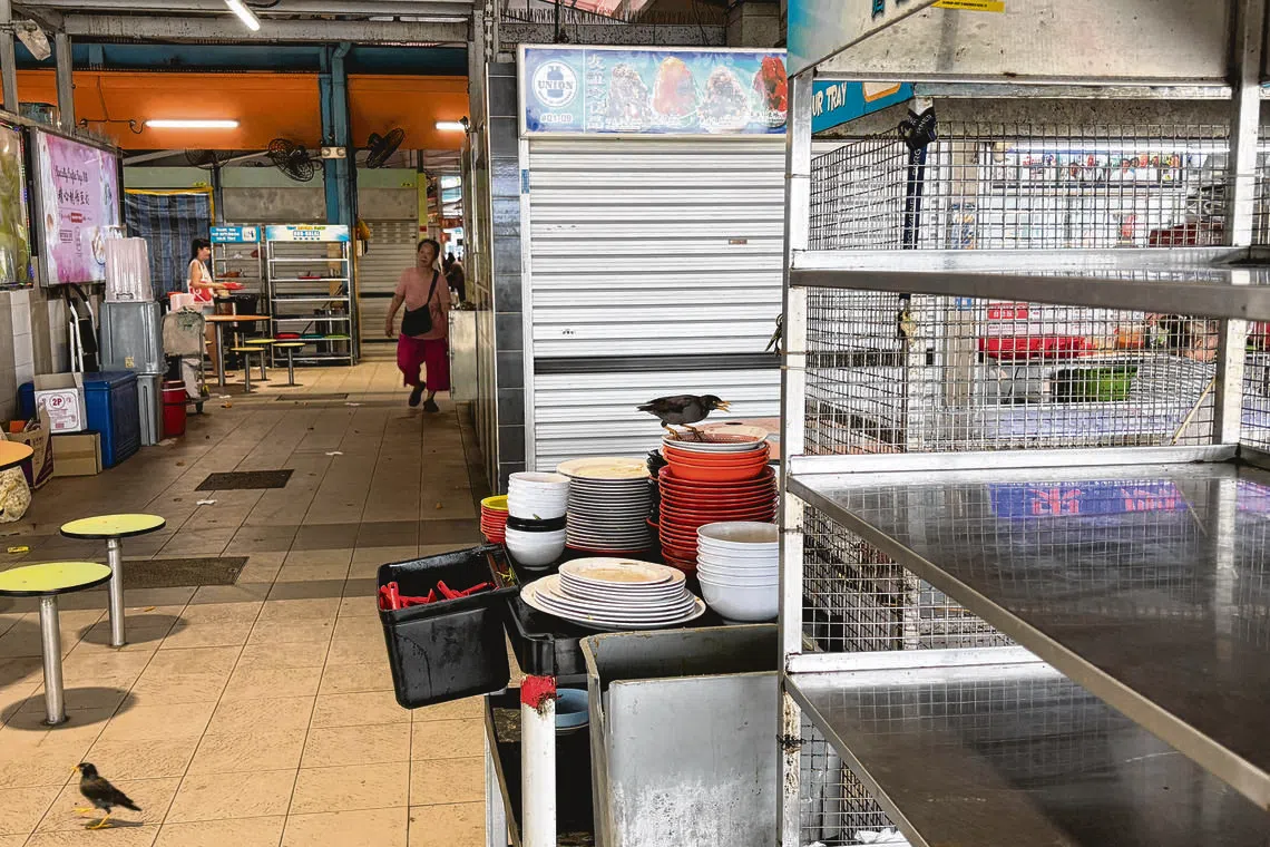 《新明日报》记者走访熟食中心时，观察到许多八哥、鸽子和乌鸦聚集在碗盘归还处和垃圾桶旁吃残羹。（马千慧摄）