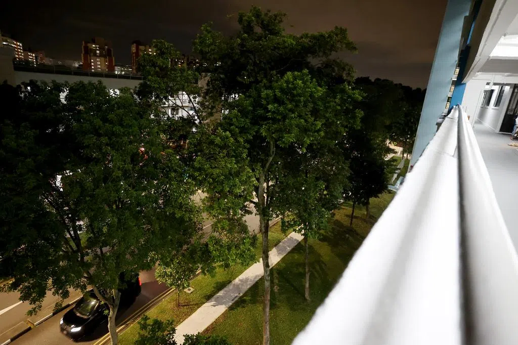 树上百鸟“争鸣” 义顺居民诉一年难眠