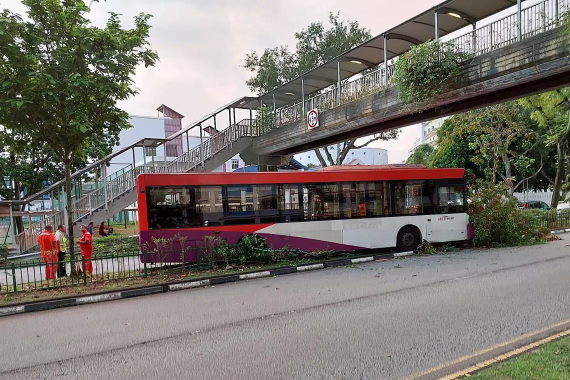 一辆新捷运巴士昨早撞倒一棵树和撞毁路中央的栏杆。（受访者提供）