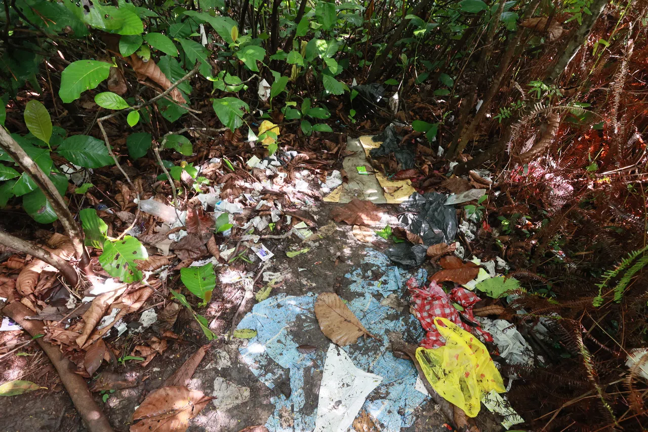 丛林草地上铺着防水塑料布用以接客，四周散落着不少使用过的安全套和各类垃圾。（潘丰源摄）