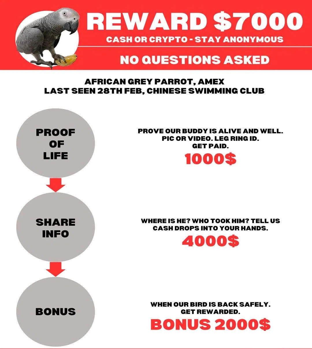 夫妇把悬赏金提高到7000元后。（受访者提供）