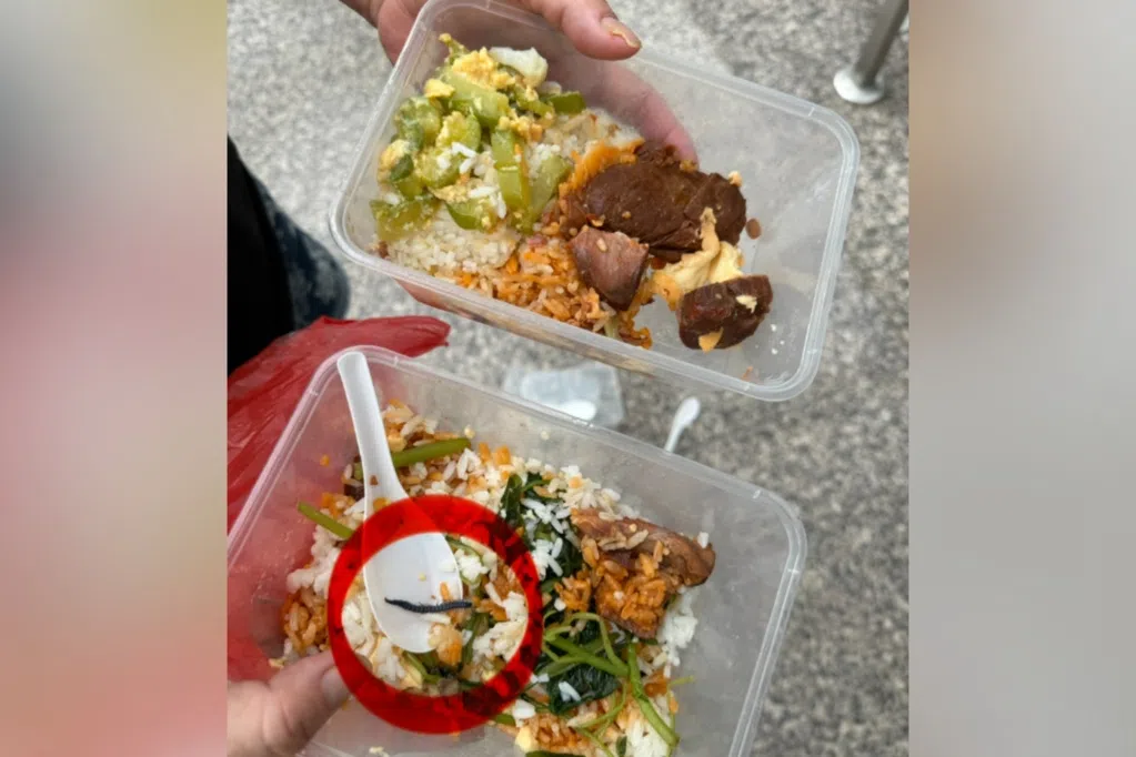 打包午餐回家 妇女诉菜饭发现蜈蚣