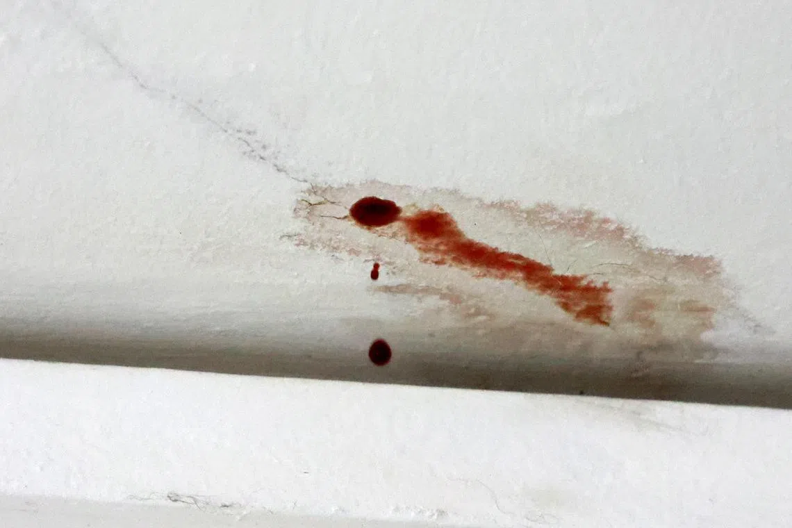 住在死者楼下的邻居，在下午1时许发现主人房的天花板有血水滴下来。（潘丰源摄）