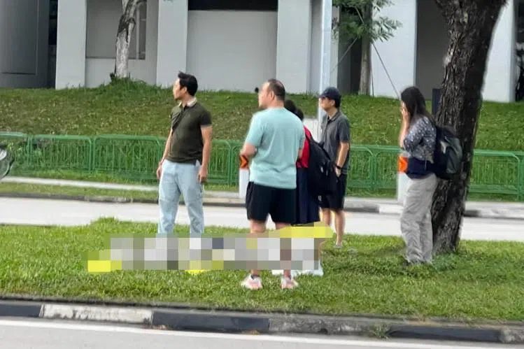 伤者倒在分界堤的草坪上，周围有公众协助。（取自小红书）