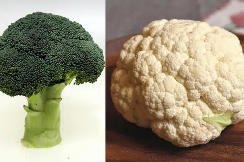 花椰菜VS西兰花 营养价值大不同