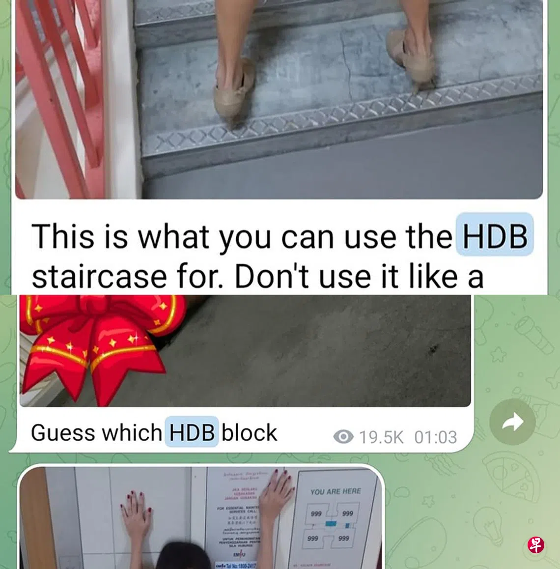 Telegram现色情群组上传组屋胡搞视频| 联合早报