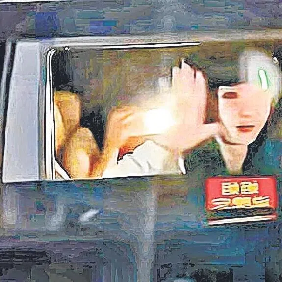 虞书欣车窗出现离奇光点，疑遭雷射笔射眼。（取自网络）