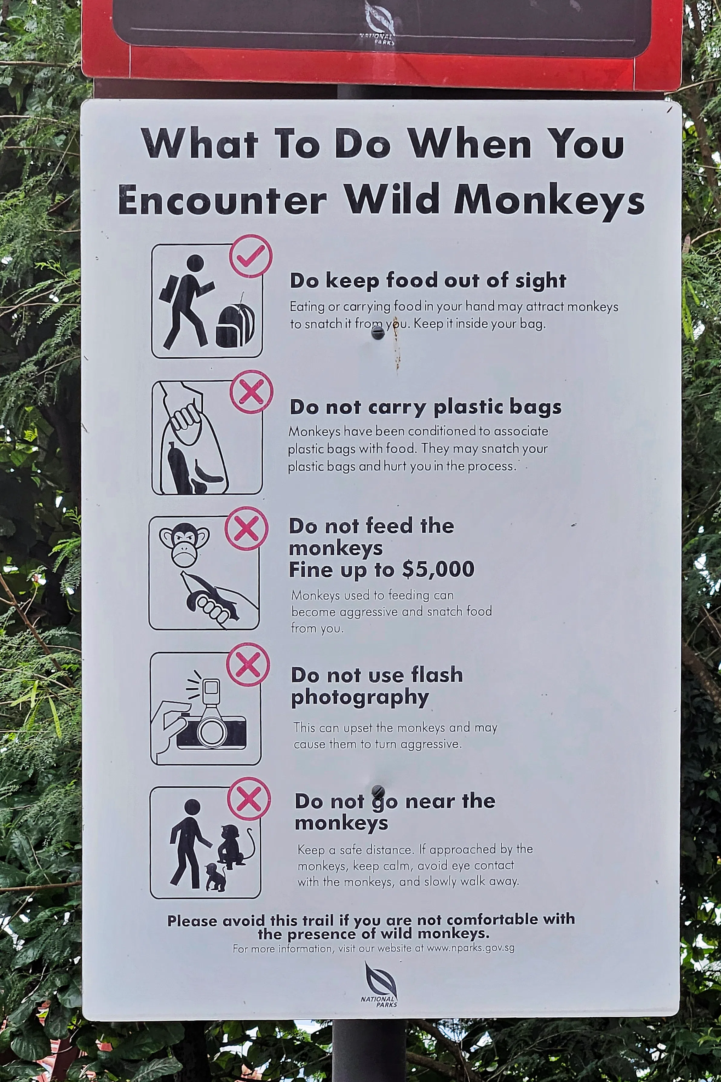 当局在公园入口设立告示牌，提醒公众如何应对野猴。（徐颖荃摄）