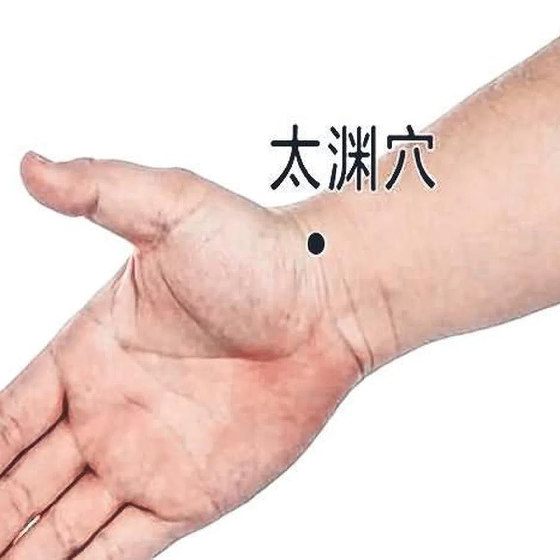 太渊穴位于手腕横纹处靠拇指侧。（档案照）