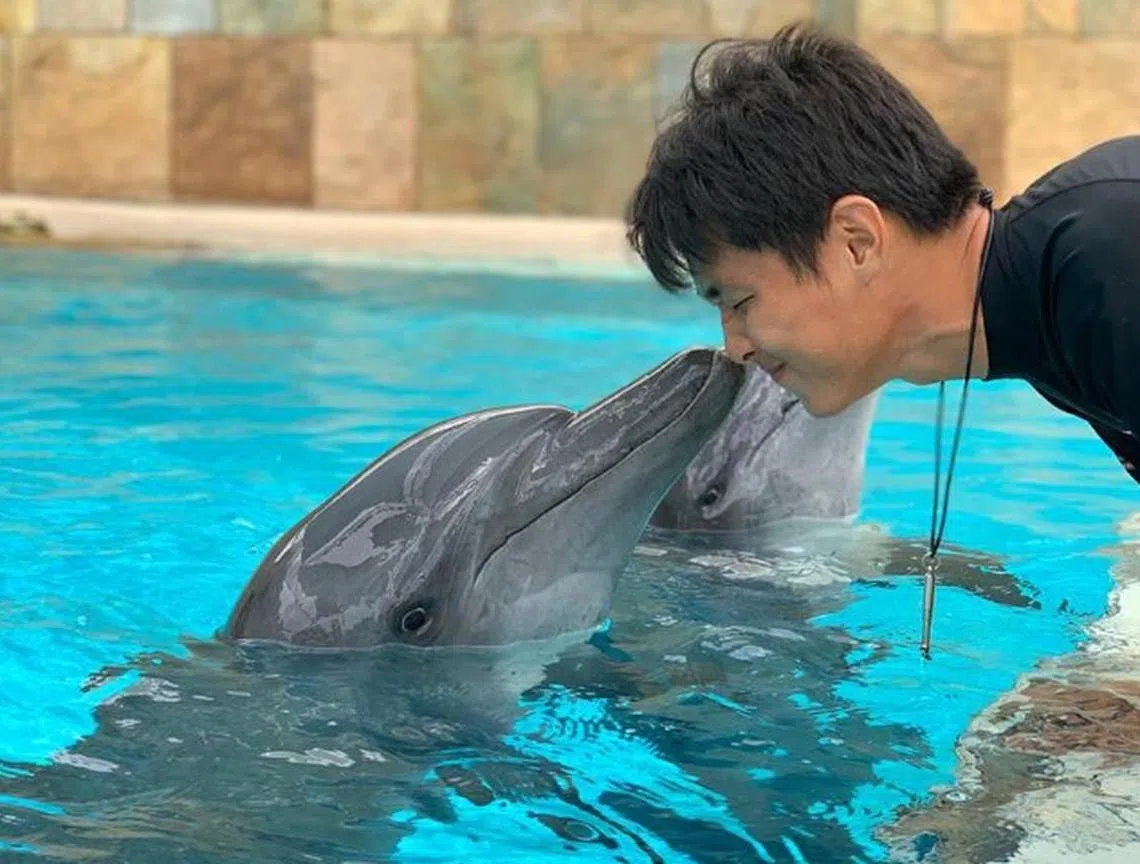 许燕豪曾是一名海豚训练师。（受访者提供）