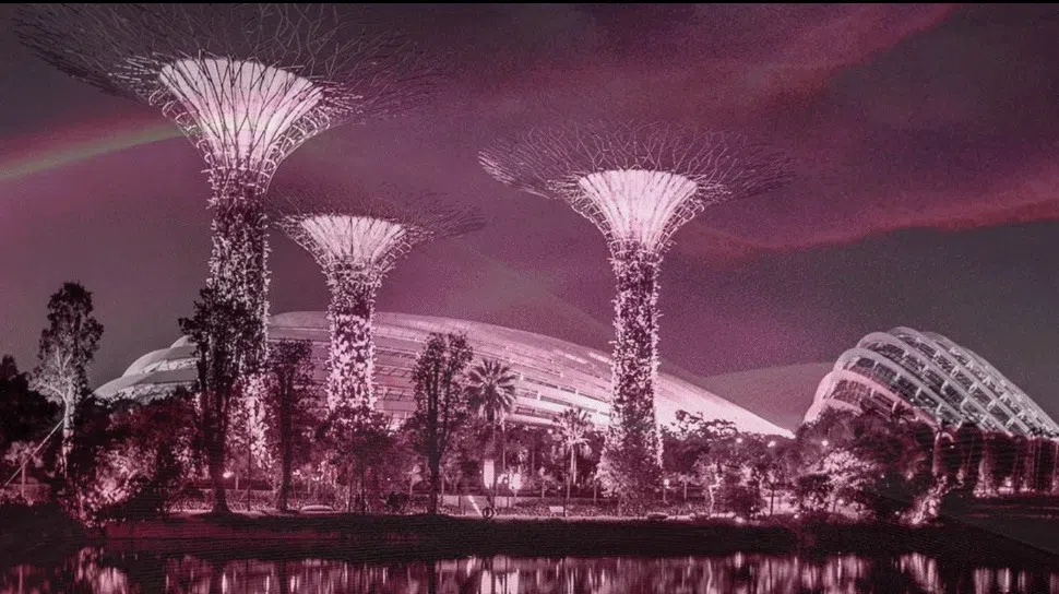 滨海湾花园的擎天大树星期三（26日）和星期四（27日）晚上呈献20分钟的BLACKPINK主题灯光音乐秀。（互联网）