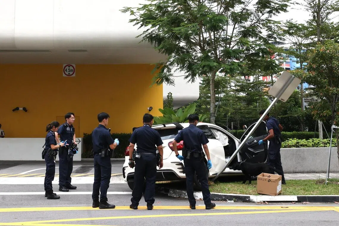 警方出动警犬进行调查。（庄耿闻摄）