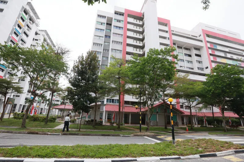 淡滨尼42街和43街组屋区的居民申诉，近日不断受到乌鸦袭击。（潘丰源摄）