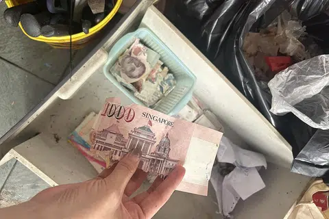 垃圾屋“藏”现金 鼠咬烂千元钞