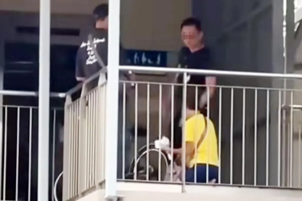 阿裕尼弯天桥上违规骑行 妇被逮当场下跪30秒