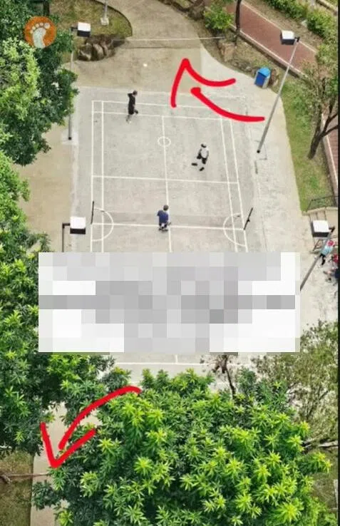 根据视频，羽毛球场的两端都被人放置了球网围住。（STOMP）