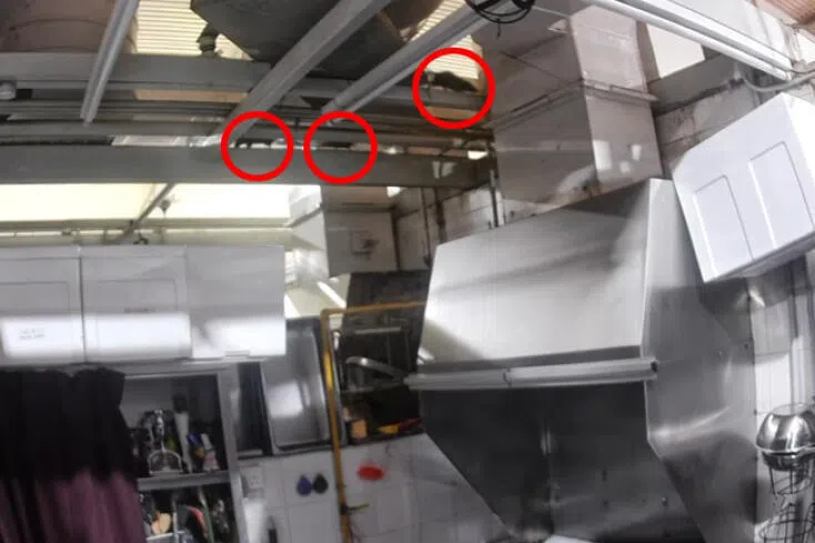 ABC砖厂熟食中心闹鼠患 摊贩愁