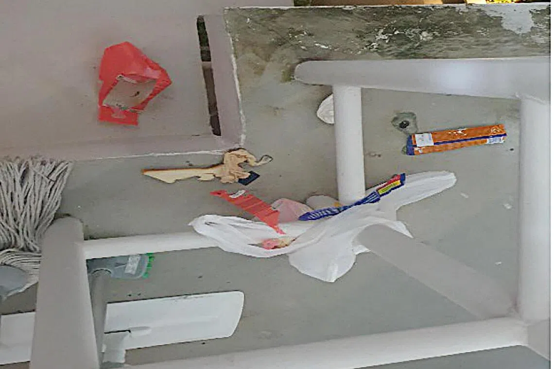 受害邻居的电眼拍下被告的行径。（取自法庭文件）