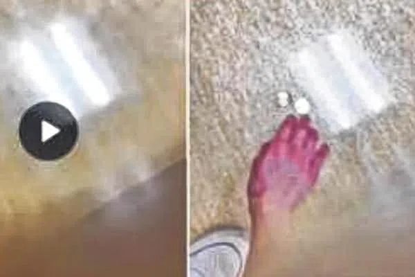 谢薇安抛硬币问案。（取自网络）