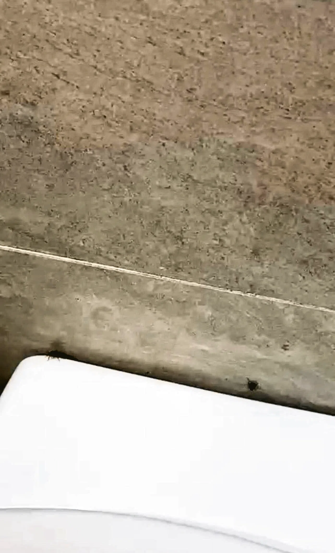 公众申诉锦茂巴刹厕所杂乱，还有蟑螂四处爬行。（曾美玲摄）