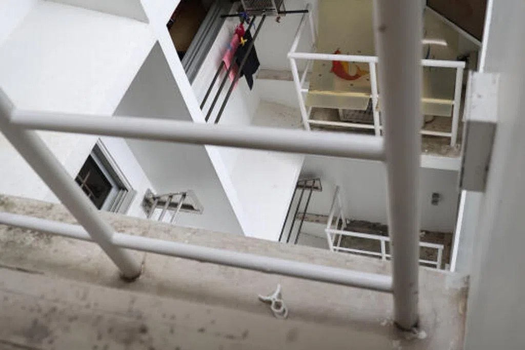 投诉邻居鹦鹉吵 男子多次报警 