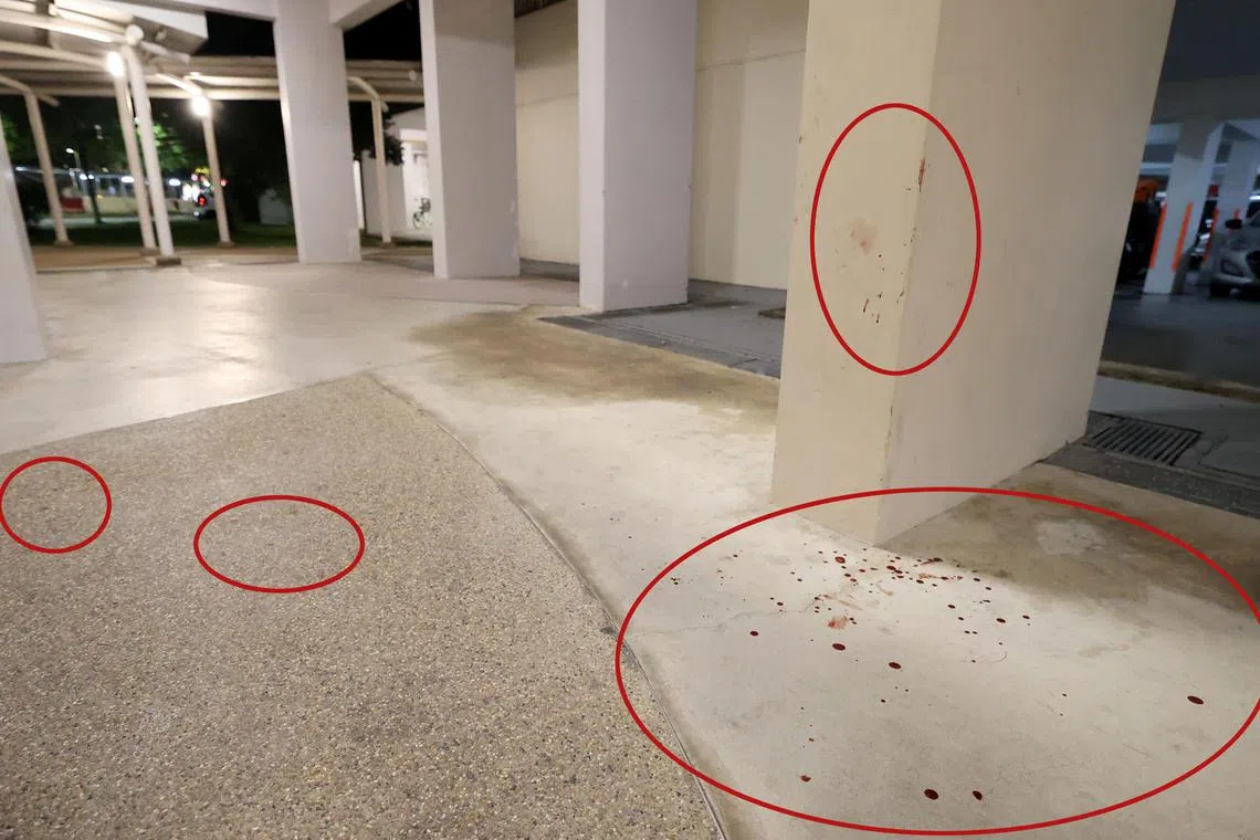 榜鹅中路第622B与622A两座组屋楼下留下“血路”。（庄耿闻摄）