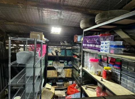 共69只野生动物被寻获。（公园局提供）