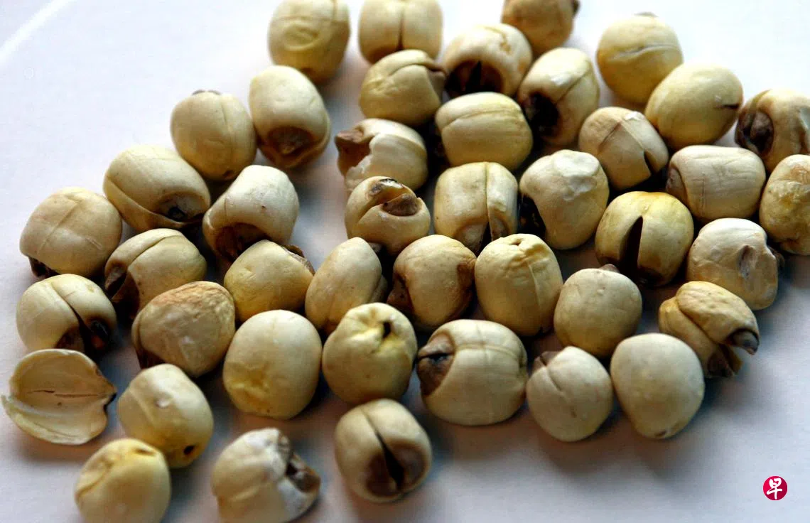 如何調養肝臟？