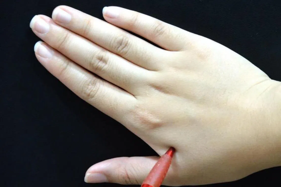 合谷穴。（档案照）