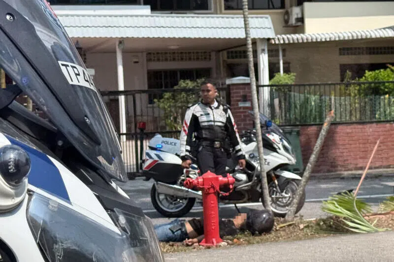 拒临检加速逃 无照骑士撞树撞车