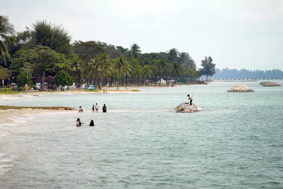 公用局将把海滩和附近公园列为短暂性淹水区，通过要求地主制定防洪应急方案，让公众平时能继续在海边活动。（档案照片）