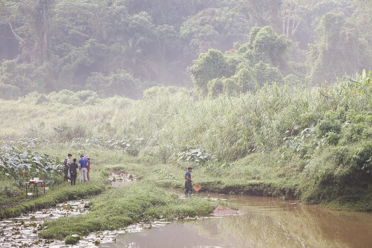 国家公园局将设一个生物多样性数据库，以利于进行全岛生态连接和概况剖析等长期监测与研究。（李冠卫摄）