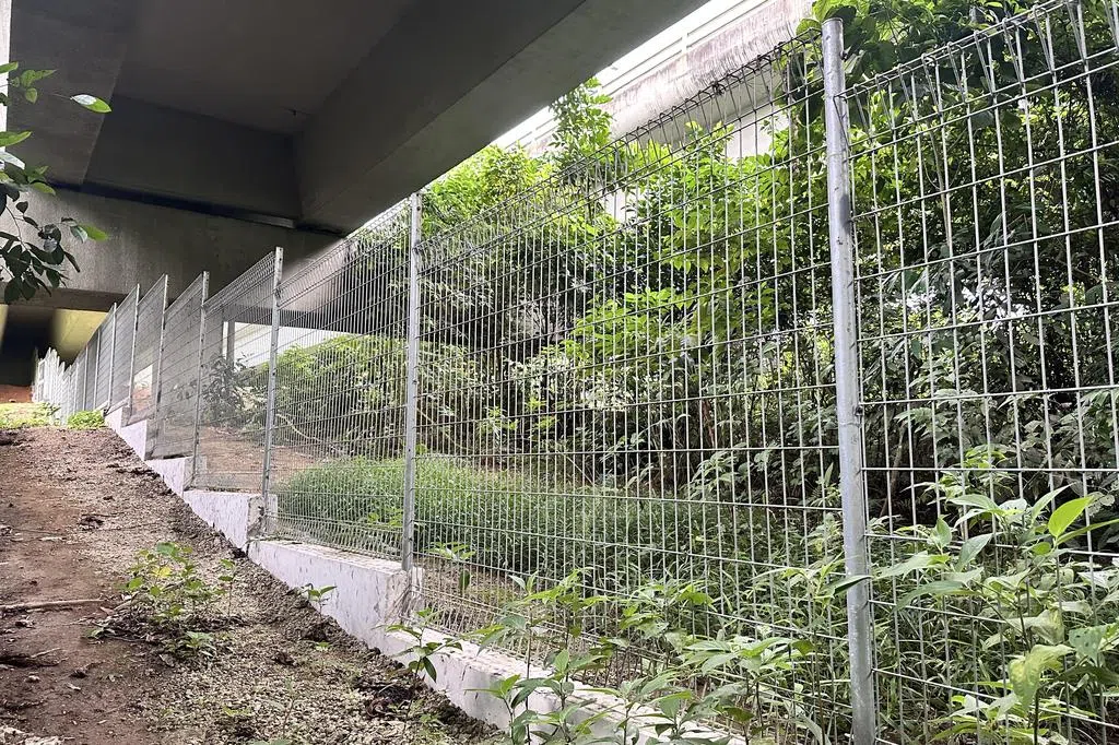 公园局扩展隔离围栏 减少野生动物路杀事件