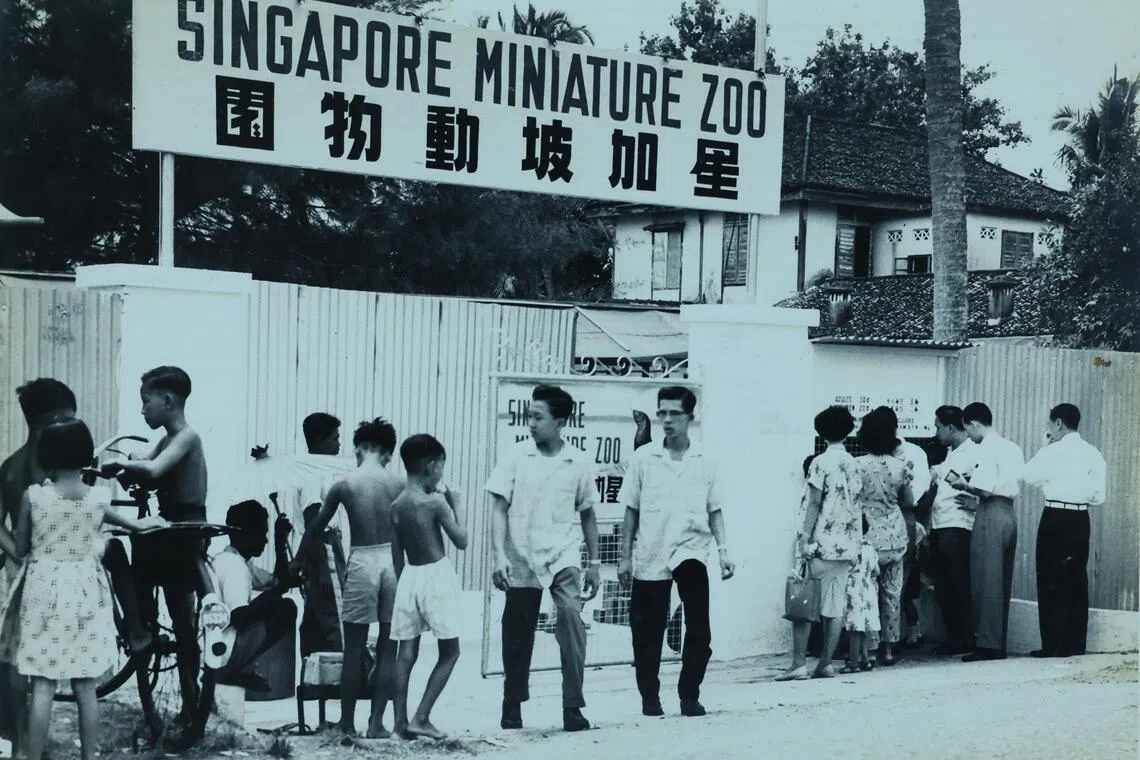 华安第二代传人董醒民曾从事动物贸易生意，并在1957年开设“星加坡动物园”。（受访者提供）