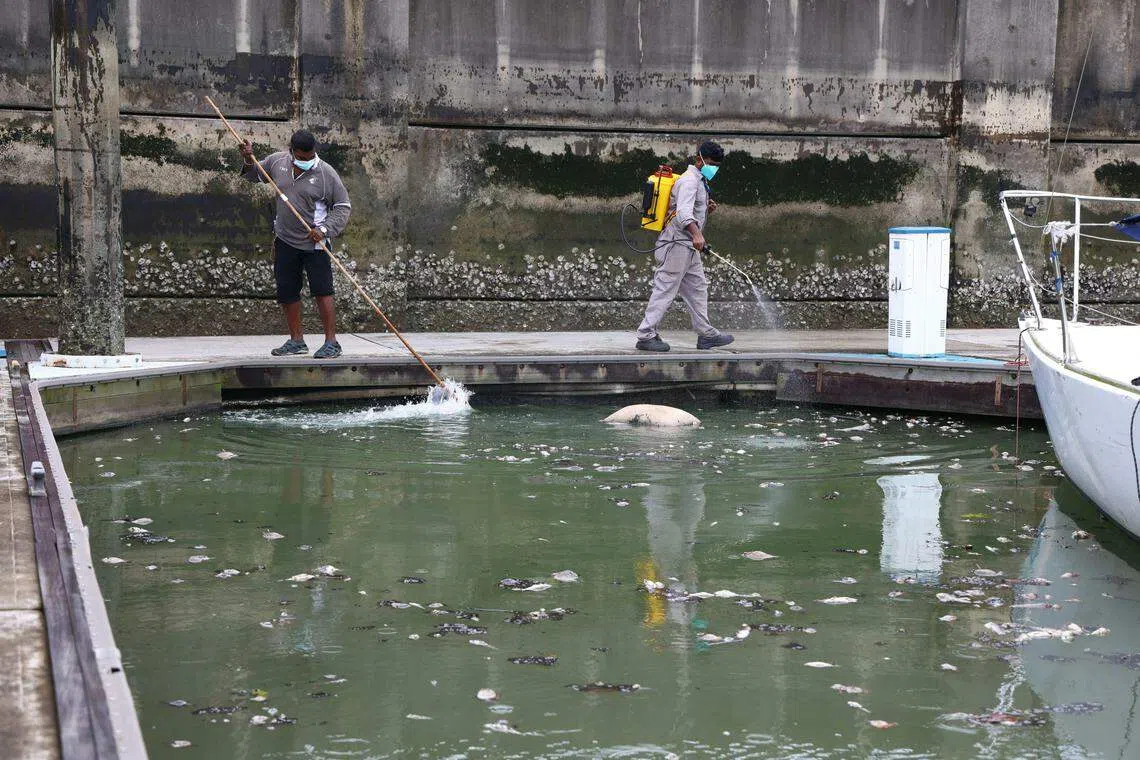 环境局在火患发生当天迅速在沟渠设置防油浮栅，但污染物仍然流入海里。环境局随后下令停止所有水上活动，并与鸿翊化学品有限公司合作，聘请有毒工业废物收集商来收集和处理现场累积的污染物。（档案照片）