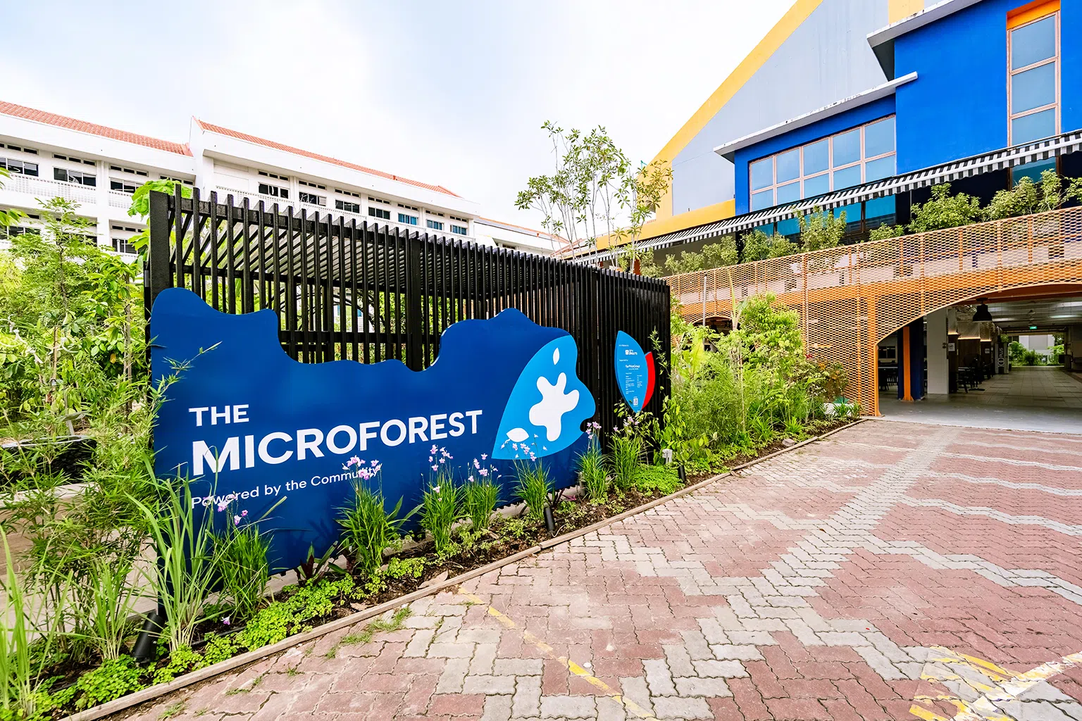 碳索馆由洛阳小学旧校舍改建而成。（平价集团提供）